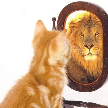 Self Awareness – The Beginning of the Cure